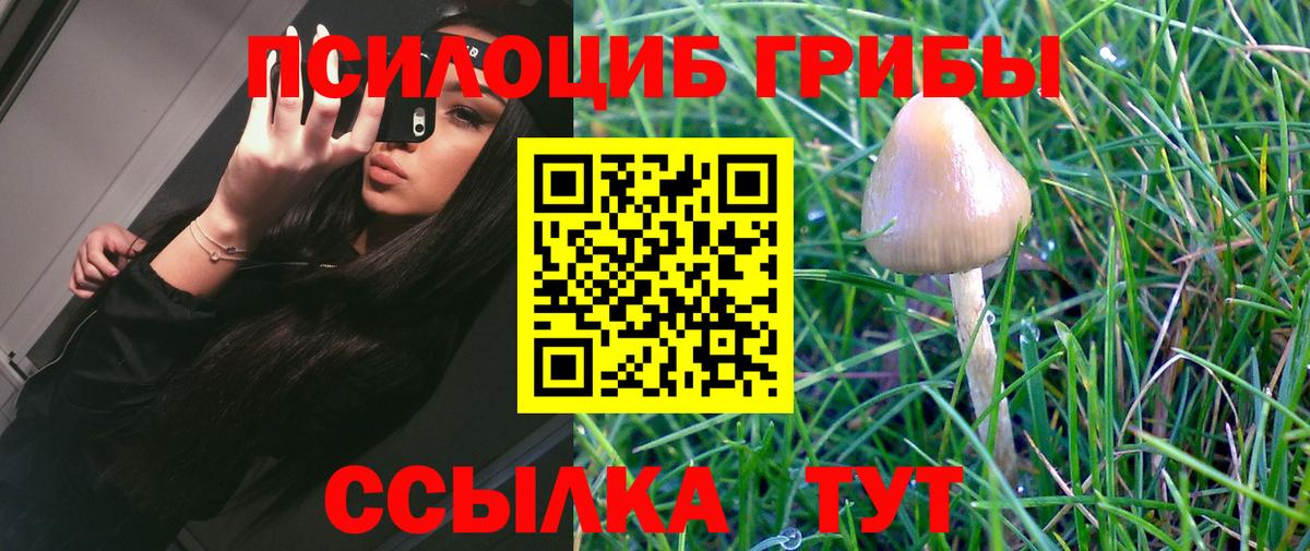 Галлюциногенные грибы MAGIC MUSHROOMS Великий Устюг